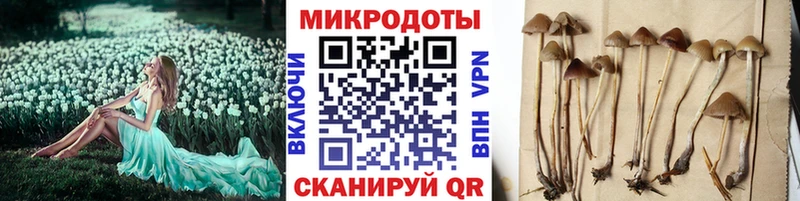 Псилоцибиновые грибы мицелий  даркнет официальный сайт  Сатка 